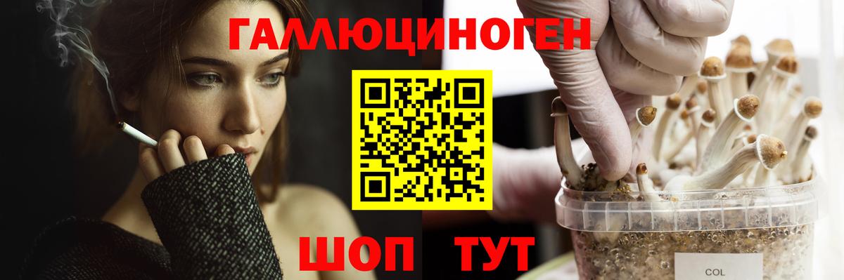 Псилоцибиновые грибы GOLDEN TEACHER Кушва